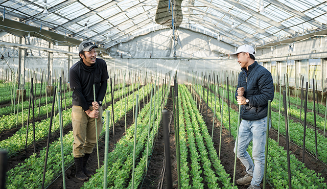未経験でも安心の仕事