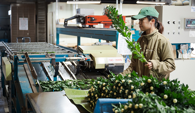 女性が長く働きやすい