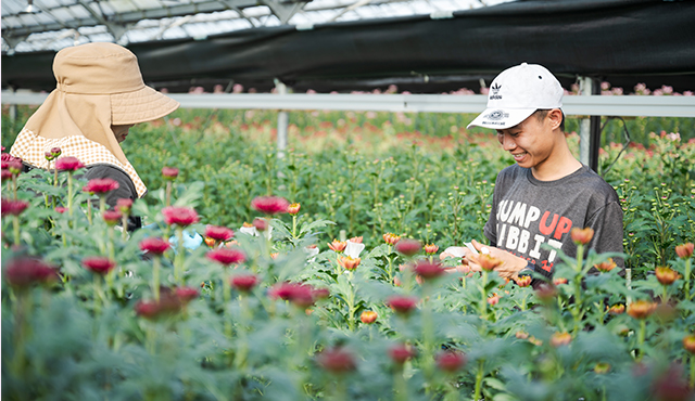 癒やしを感じられる