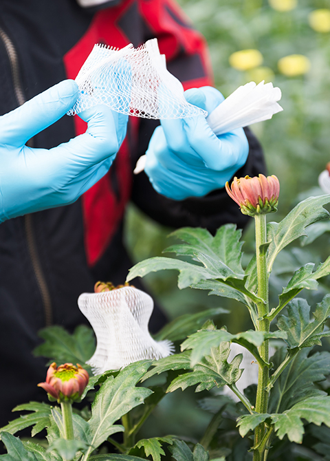 事業紹介イメージ01