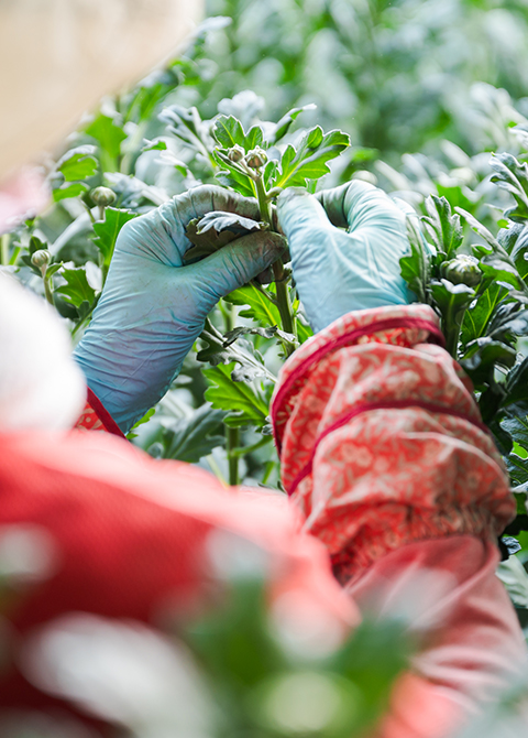 事業紹介イメージ02