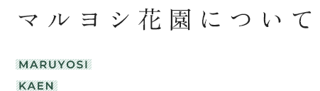 マルヨシ花園について